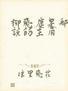 柳飞尘是哪部小说的主角封面