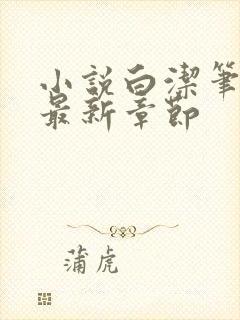 小说白洁笔趣阁最新章节