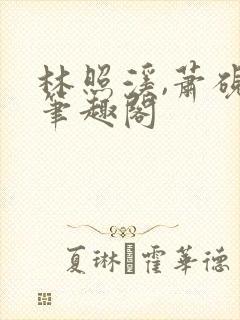 林照溪,萧砚川笔趣阁