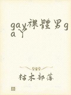 gay裸体男ga丫
