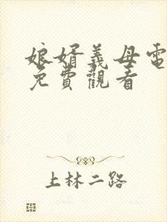 娘婿义母电视剧免费观看封面