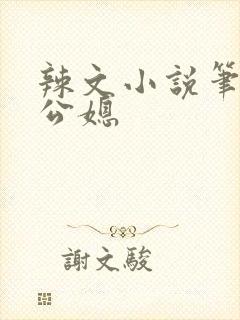 辣文小说笔趣阁公媳