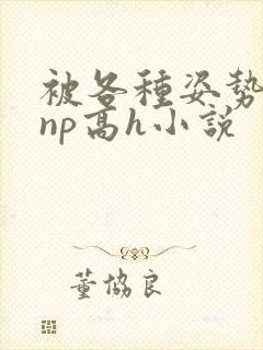 被各种姿势玩弄np高h小说