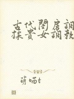 古代闺房调教h揉贵女调教记