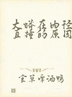 大蟒在内径横冲直撞的原因