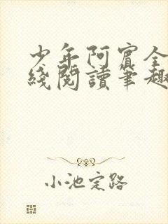 少年阿宾全文在线阅读笔趣阁封面