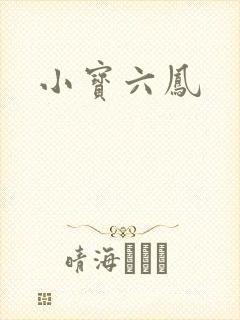 小宝六凤封面