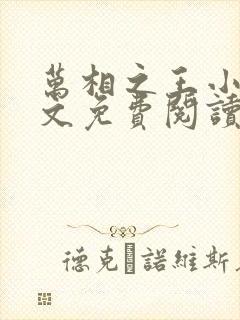 万相之王小说全文免费阅读无弹窗