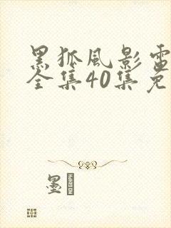 黑狐风影电视剧全集40集免费观看高清