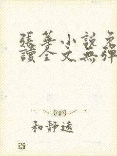 张华小说免费阅读全文无弹窗封面