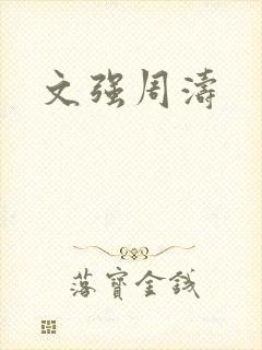 文强周涛封面