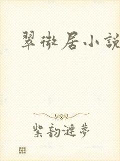 翠微居小说封面