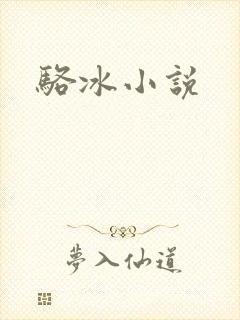 骆冰小说封面