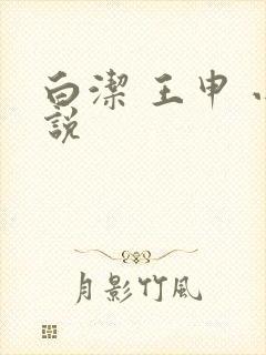 白洁 王申 小说封面