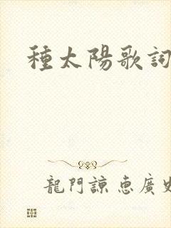 种太阳歌词封面