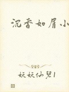 沉香如屑小说封面