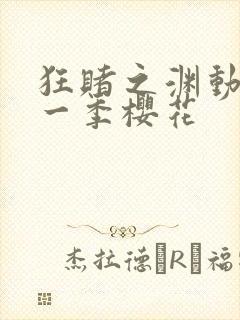 狂赌之渊动漫第一季樱花