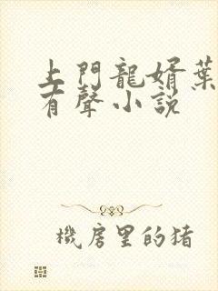 上门龙婿叶辰完有声小说