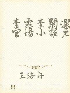 李霖李阑澜巅峰官场小说免费阅读