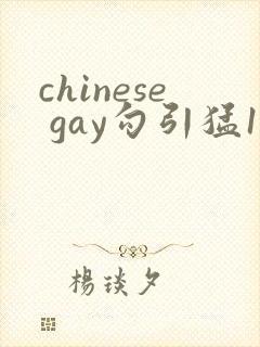 chinese gay勾引猛1video