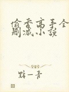 偷香高手全文无删减小说封面