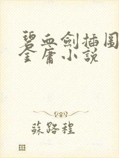 碧血剑插图版 金庸小说