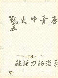 战火中青春演员表封面