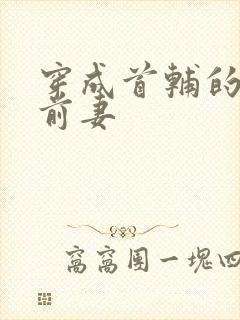 穿成首辅的炮灰前妻封面