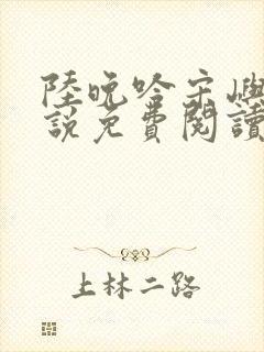 陆晚吟宋屿风小说免费阅读最新章节封面