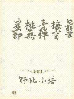 蜜桃青梅最新章节无弹窗笔趣阁封面