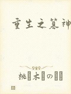 重生之篡神