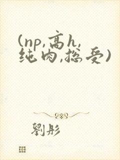 (np,高h,纯肉,总受)