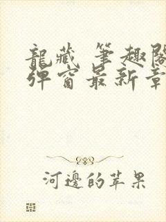 龙藏 笔趣阁无弹窗最新章节