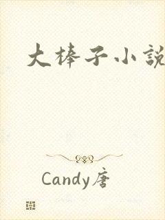 大棒子小说