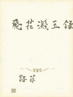 飞花溅玉录封面