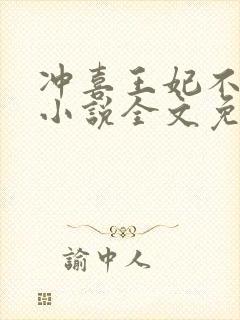 冲喜王妃不好惹小说全文免费阅读