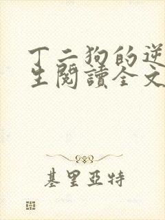 丁二狗的逆袭人生阅读全文全文