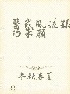 医武风流孙哲叶巧朱颜