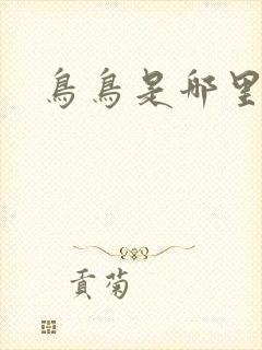 鸟鸟是哪里人封面