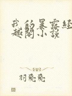 我的暴露经历笔趣阁小说