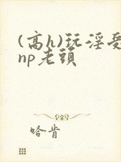 (高h)玩淫受np老头封面