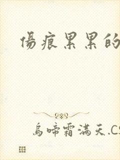 伤痕累累的勋章