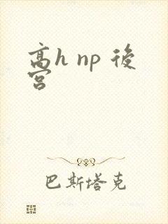 高h np 后宫