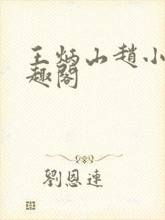 王炳山赵小莲笔趣阁封面