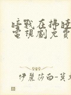 暗战在拂晓之前电视剧免费