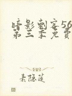 暗影刺客567第三季免费观看