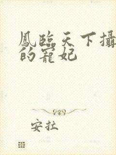 凤临天下摄政王的宠妃封面