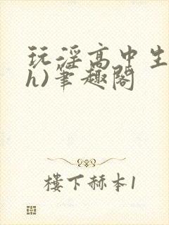 玩淫高中生(高h)笔趣阁