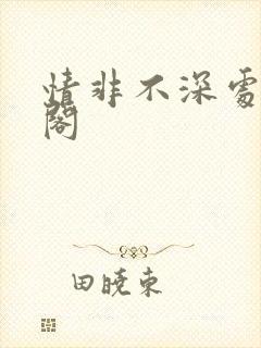 情非不深处笔趣阁