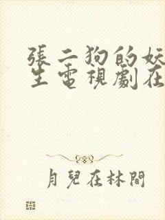 张二狗的妖孽人生电视剧在线观看